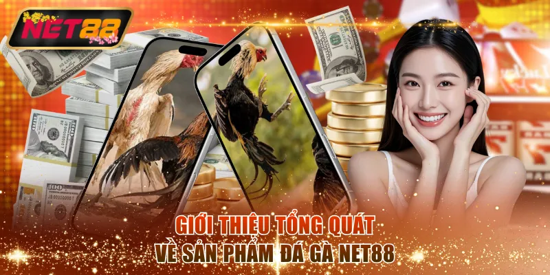 Giới thiệu tổng quát về sản phẩm đá gà NET88
