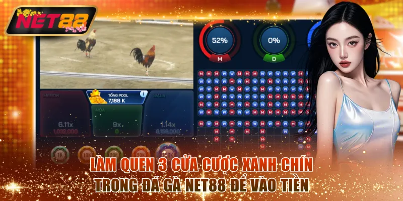 Làm quen 3 cửa cược xanh chín trong đá gà NET88 để vào tiền