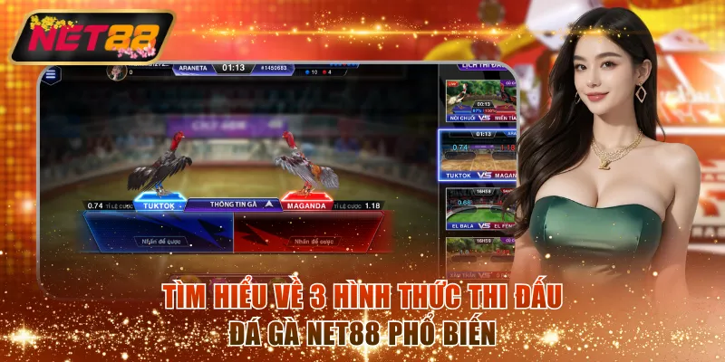 Tìm hiểu về 3 hình thức thi đấu đá gà NET88 phổ biến